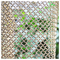 Het galvaniseren van Decoratieve Draad Mesh Netting With Mesh Size 0.1mm200mm