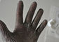 304L het roestvrije staal Gloves Anti - de Gesneden Handschoen van de Veiligheidsslager voor Scherp Vlees