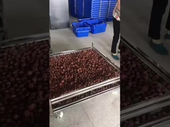 draadgordel van roestvrij staal voor het drogen