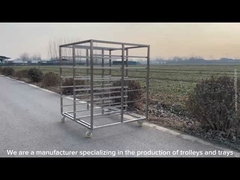 Gepersonaliseerd formaat roestvrij staal bak rek trolley