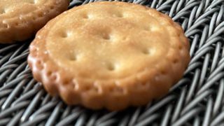 Roestvrij staal 304 metaal hittebestendig bakkerij transportband visgraat gaas bisc