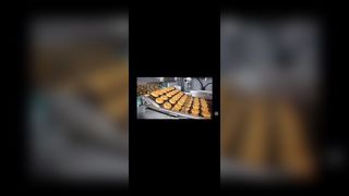 Roestvrijstalen pizzaoven Ladderketting Transportband Platte draadgaas Flexriem voor chocolade-omhulsel,