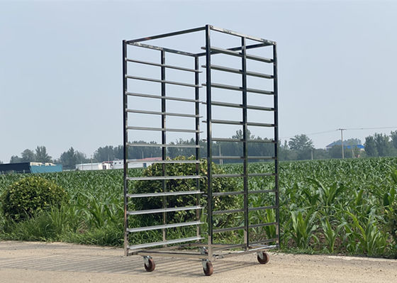Zware 304 roestvrij staal rek trolley met een laadvermogen van 300 kg