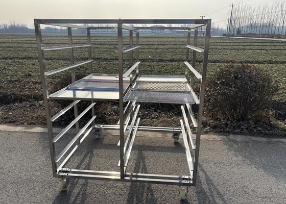 Op maat gemaakte grootte roestvrij staal 304 316 Tray Rack Trolley met bijpassend tray voor bakken en drogen