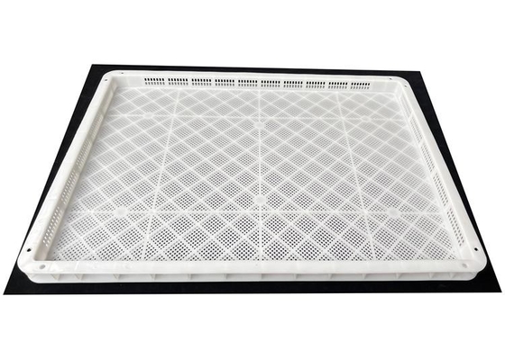 Voedingsmiddelen Hdpe PP Plastic Hurding Drying Trays Verkoop Stapelbare voedseldrogen Plastic Trays