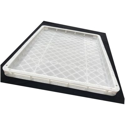 Goede prijs. Perforated Food Grade Stackable Plastic Drying Trays gebruikt voor het bevriezen van groenten en fruit online