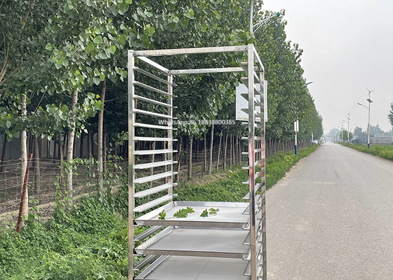 Goede prijs. 201 het Karretje van het roestvrij staalrek voor 60 X 40cm het Baksel Oven Trays van de Voedselbakkerij online